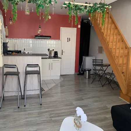 Charmant Duplex De 28m2 En Plein Centre Apartment Tarbes