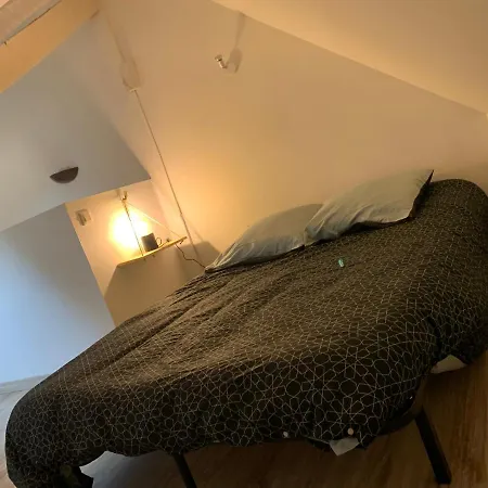 Charmant Duplex De 28m2 En Plein Centre Apartment Tarbes